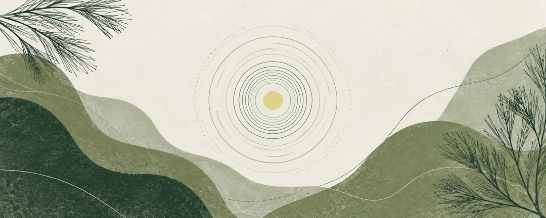 Decorative pine and chalk illustration of concentric rings and botanical linework.